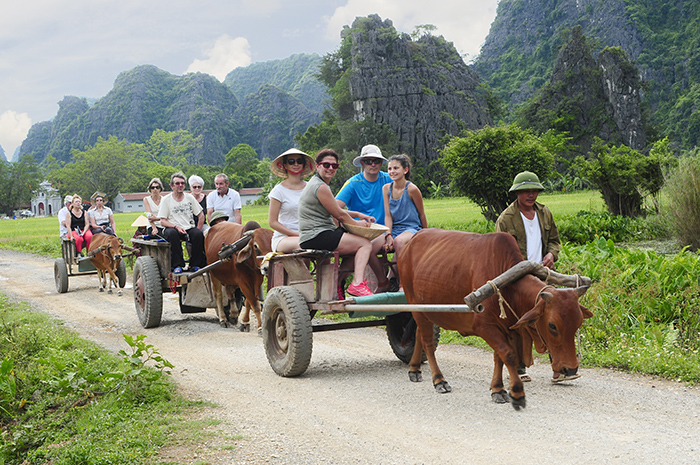 Khám phá làng quê bằng xe bò (Ninh Bình). Ảnh: Trần Văn Lũy